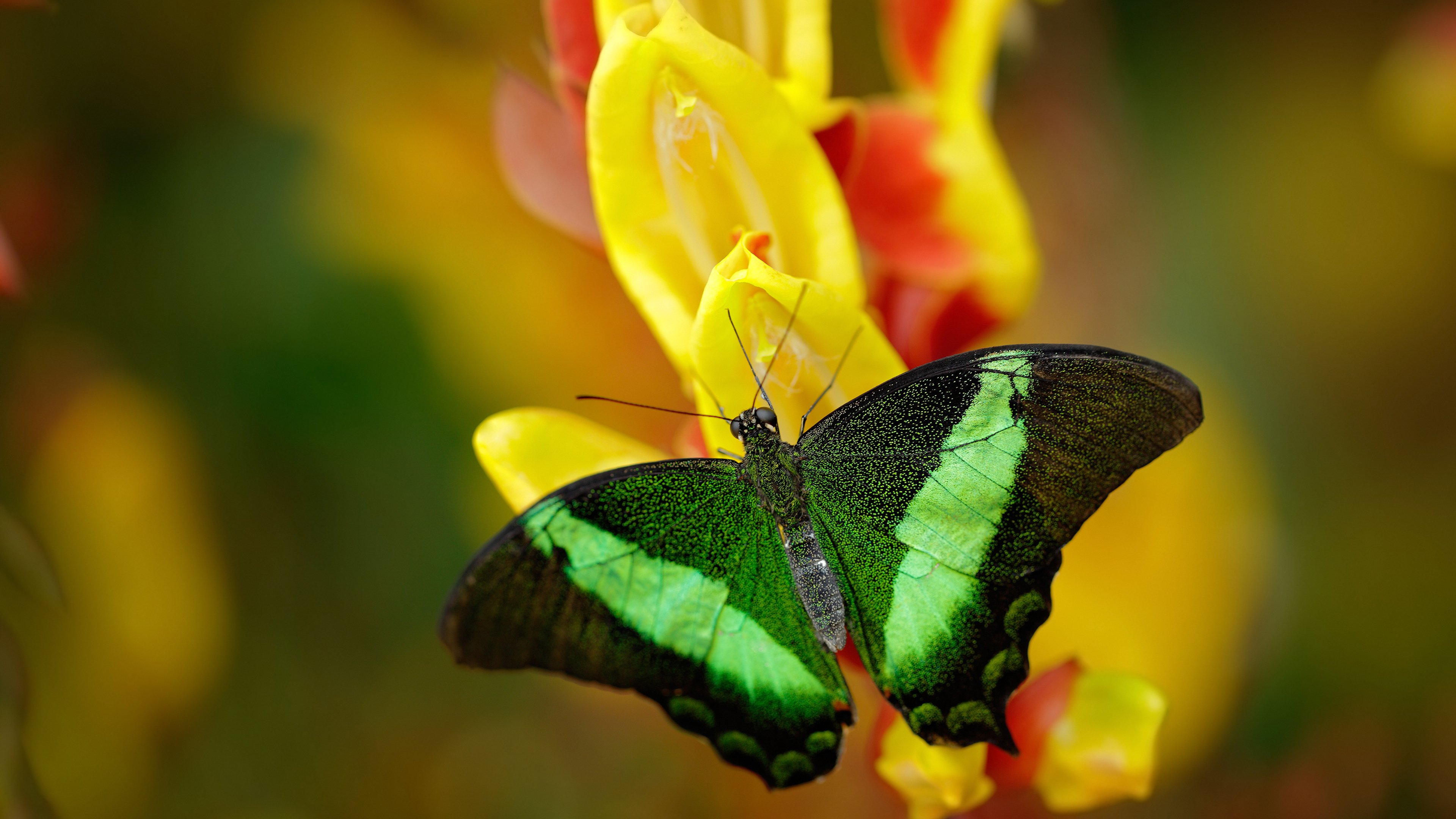 华体会登录地址-赛季交锋：超级对决中的历史性时刻，超级对战吧