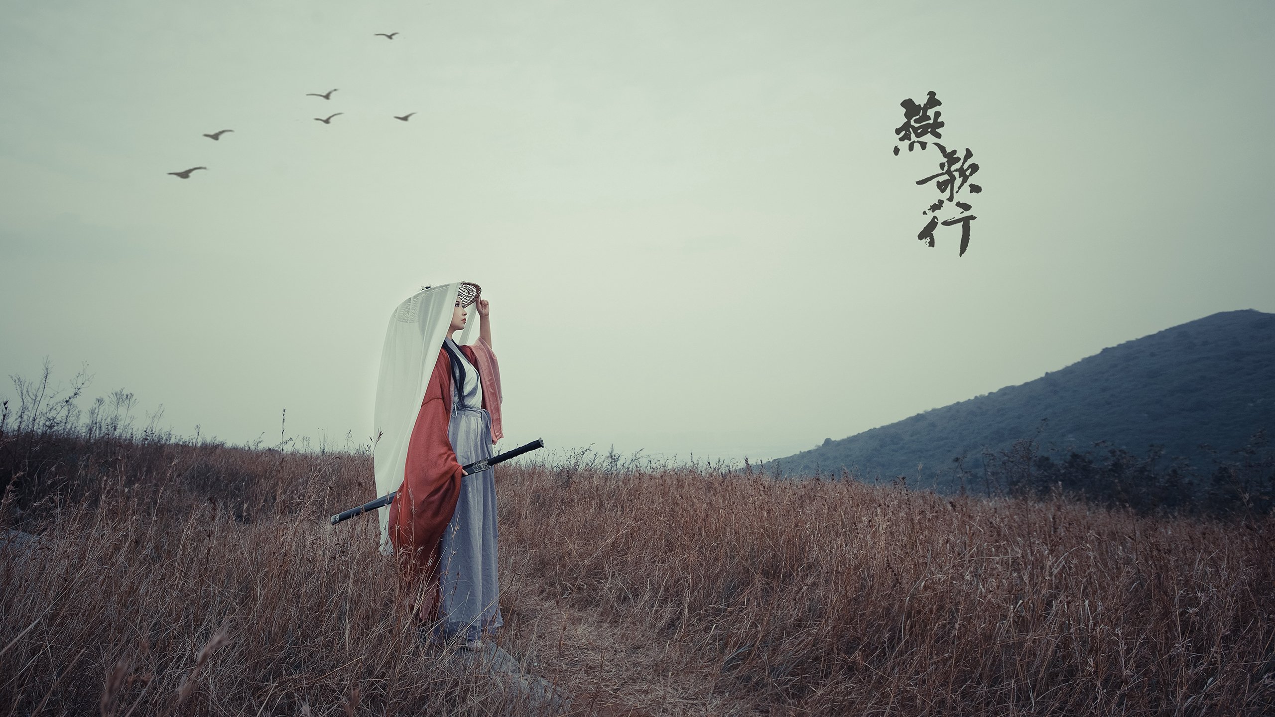 高校运动训练数据采集与分析系统研究,2021年全国高等学校运动训练