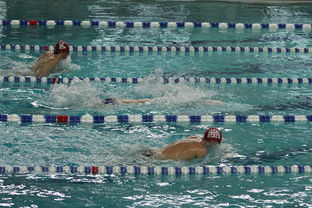 华体会登录入口-“世界游泳锦标赛：2025新加坡赛场泳池掀起速度与优雅的碰撞”