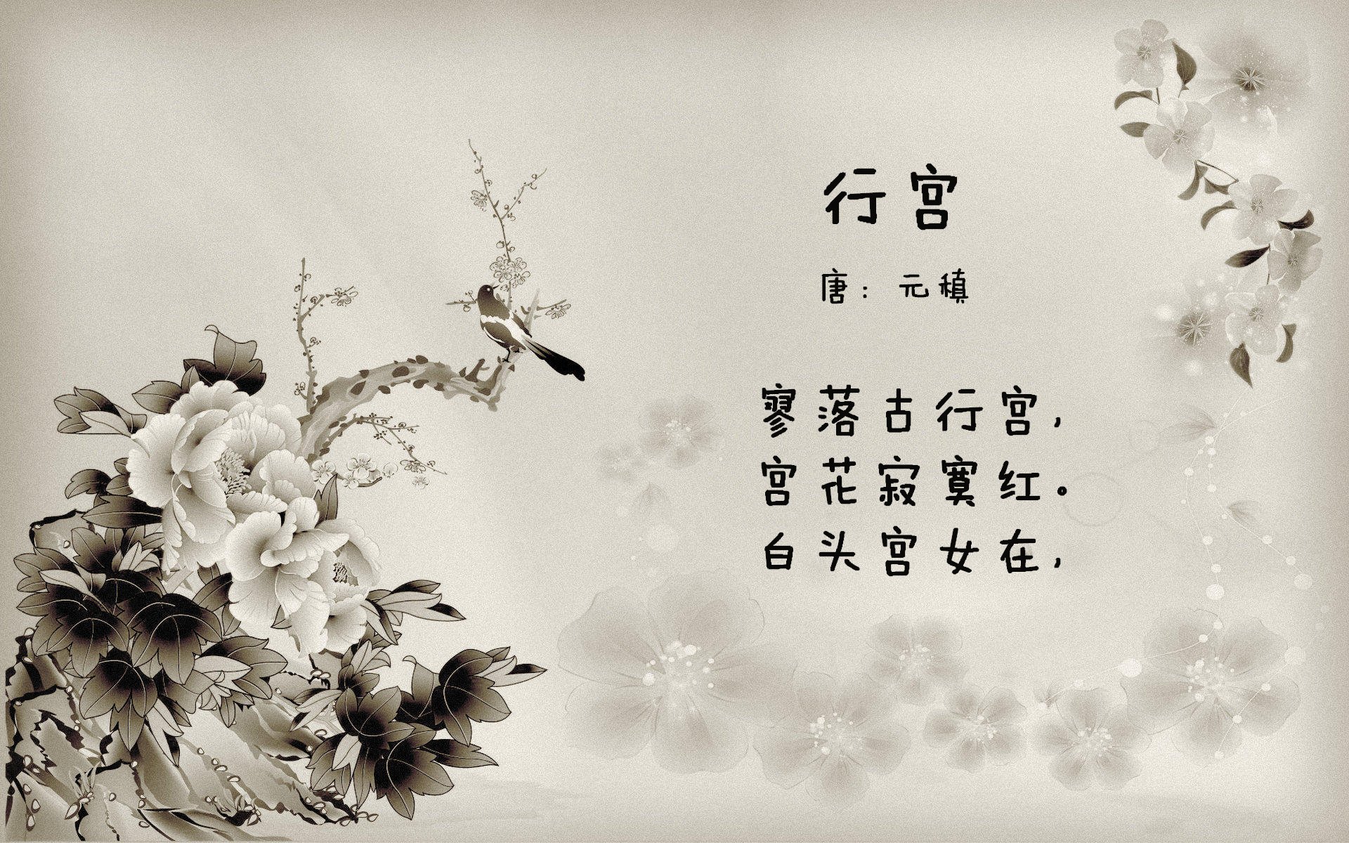 中国男篮主力复出 球迷期待强势反弹,中国男篮五大主力回归