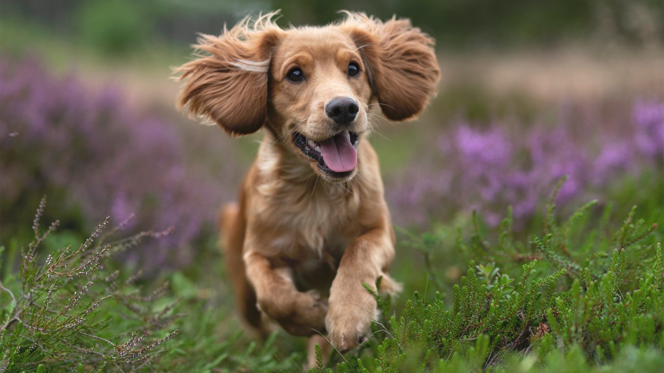 华体会app-对抗最激烈的身体碰撞时刻合集，身体对抗激烈的运动