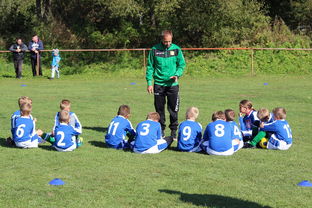 华体会app注册-澳大利亚队如何通过团队赛制战术，在大赛中脱颖而出，澳大利亚队伍