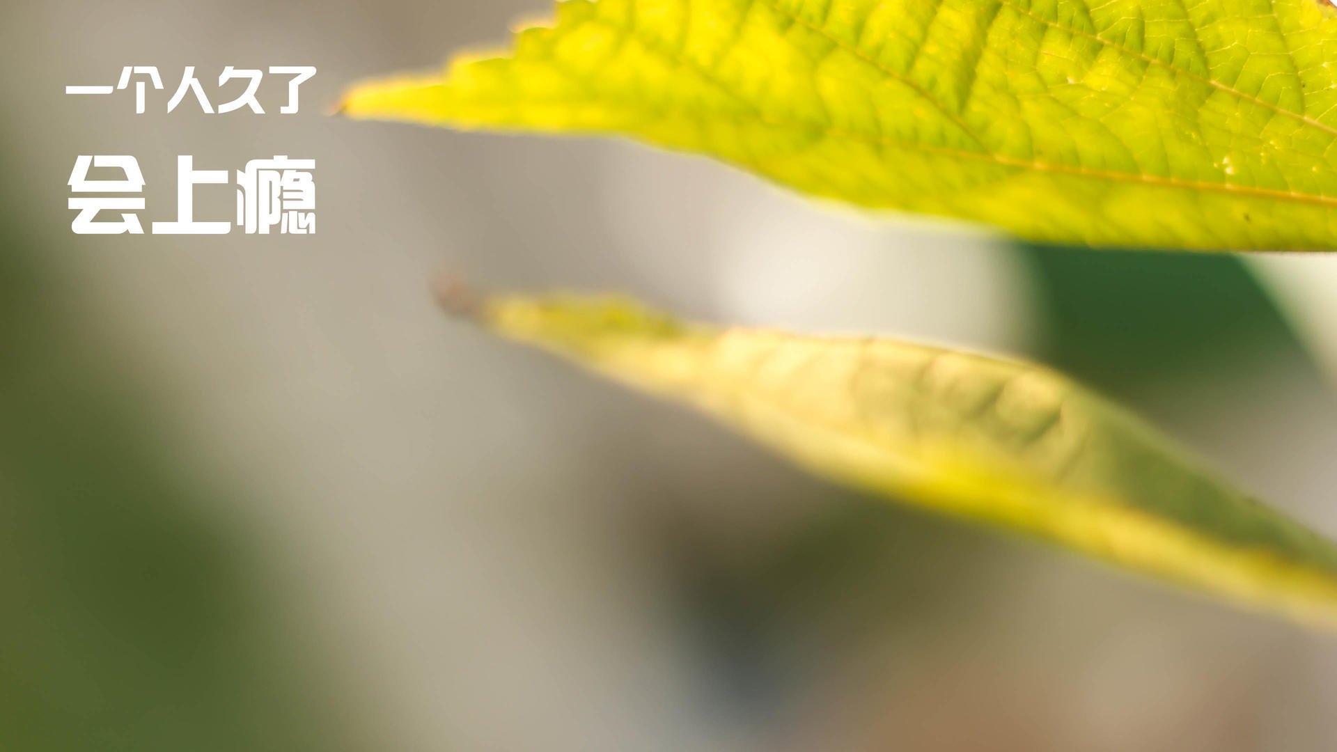 华体会网址-球员在快节奏比赛中的情绪控制关键，如何管理球员在比赛中的情绪