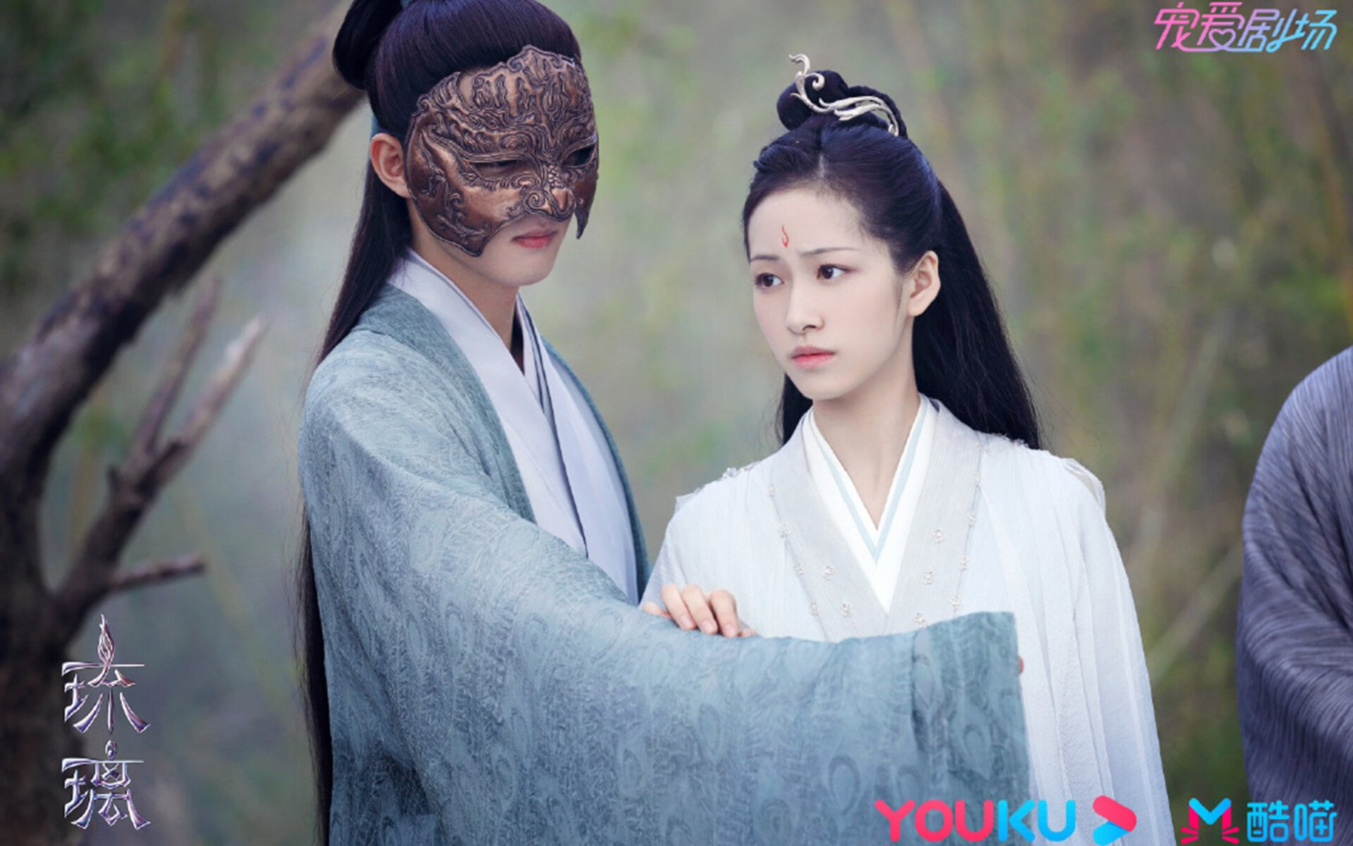 职业联赛本土球员成长受限,职业球员数量