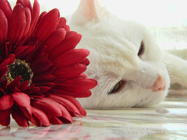 华体会app安装-自由搏击训练体系完善，自由搏击训练体系完善方案