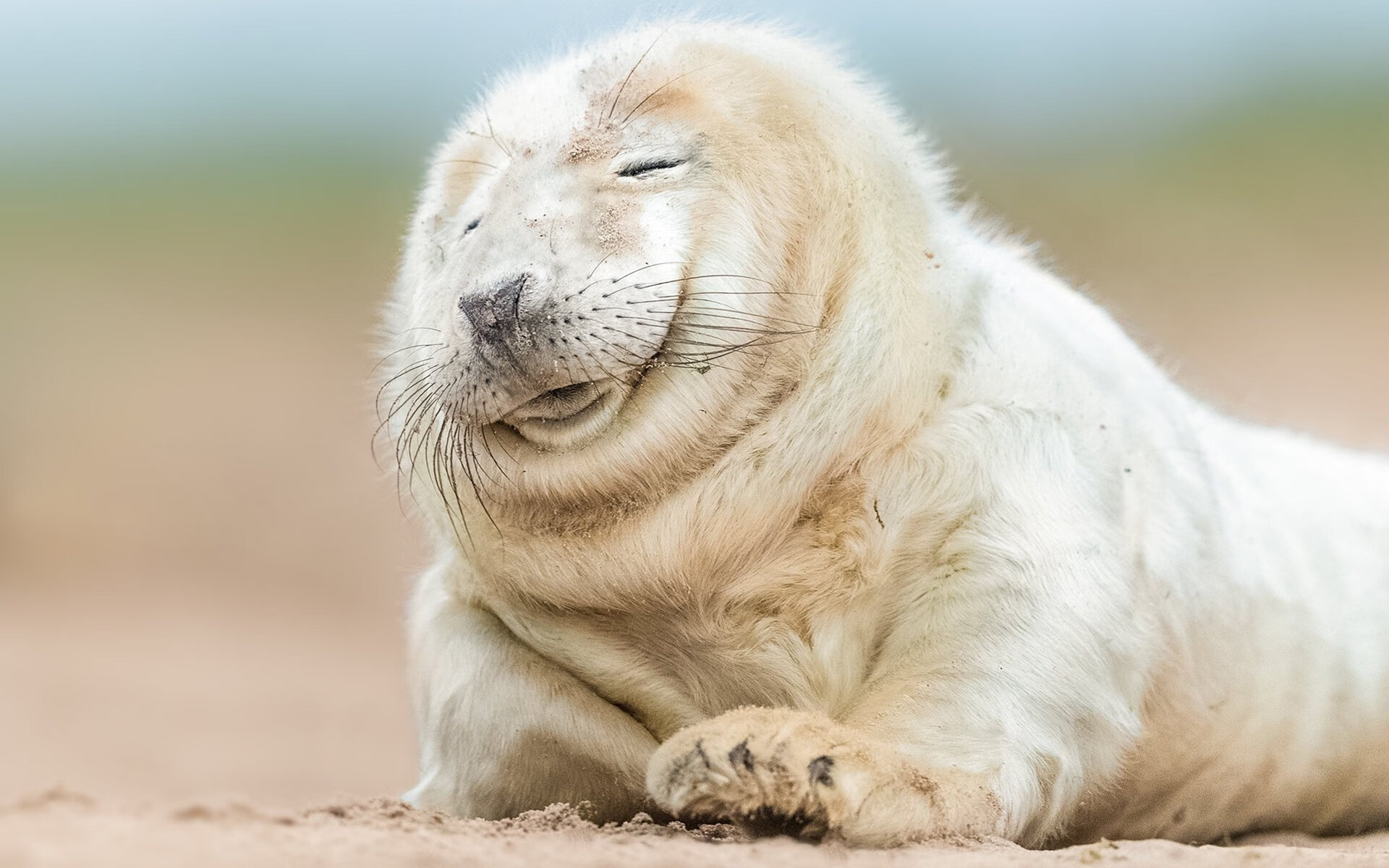 花样游泳青少年国家队成立 聚焦技术难度,花样游泳团体中国队