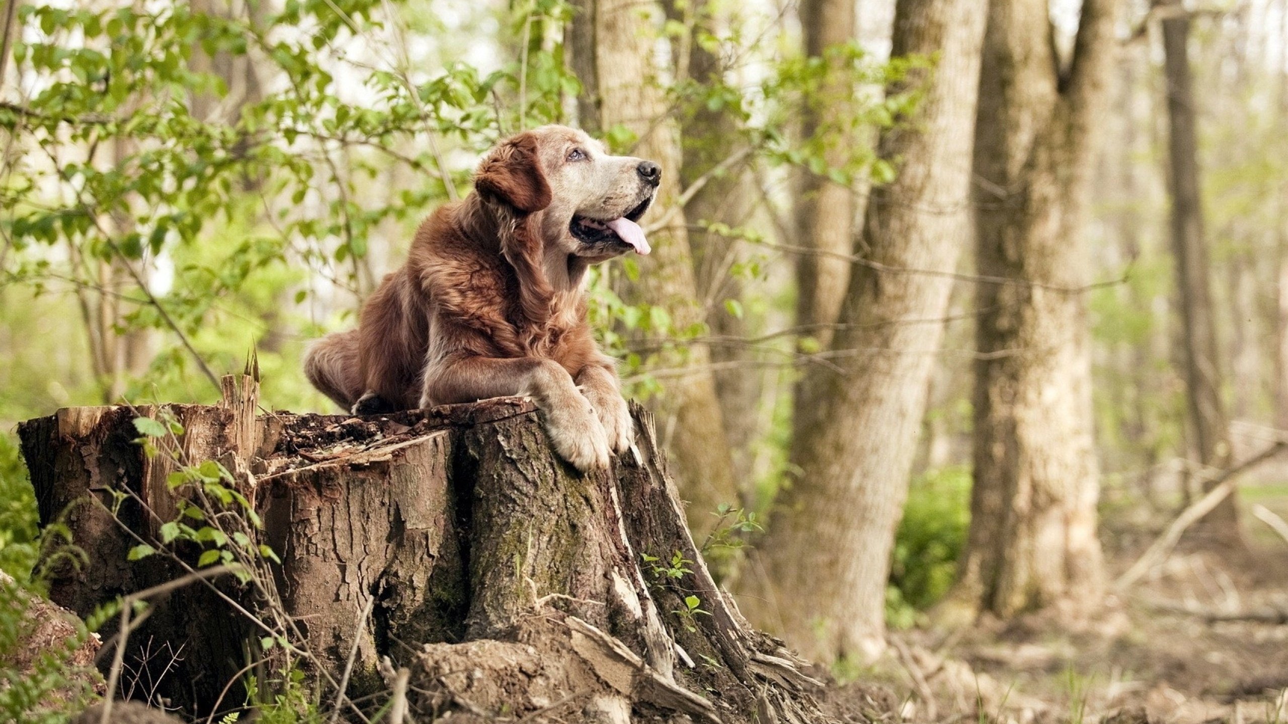 华体会网站-南非水球淘汰赛鏖战晋级，南非水系分布图