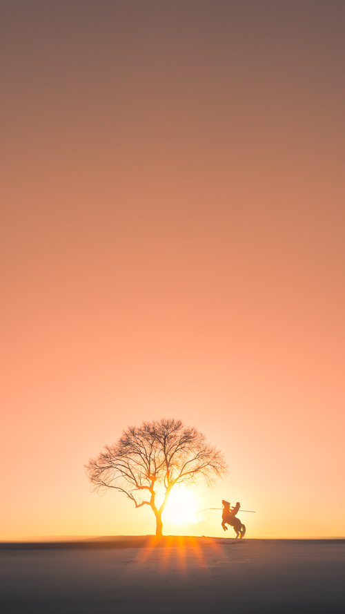 卡萨斯决赛表现赢得观众喝彩,卡萨世界赛