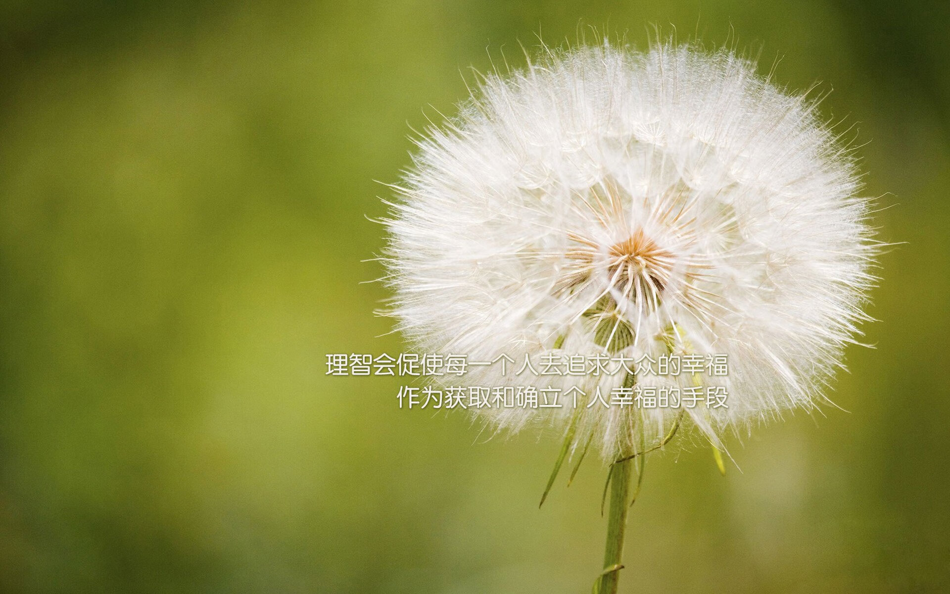 华体会app下载-塔图姆突破上篮凯尔特人晋级季后赛，塔图姆22+8迎里程碑 凯尔特人6人得分