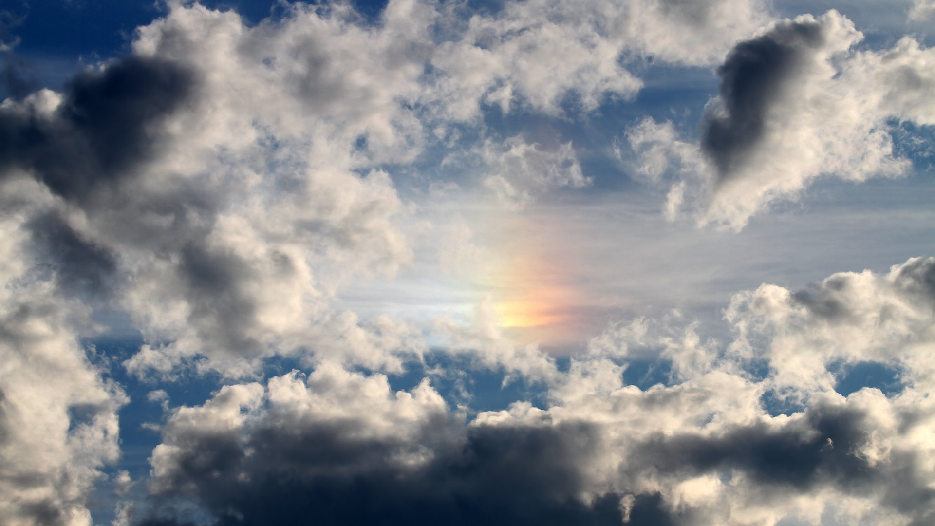 塞尔维亚女篮在欧洲锦标赛中表现出色,誓夺金牌刷新纪录,塞尔维亚女篮欧洲排名