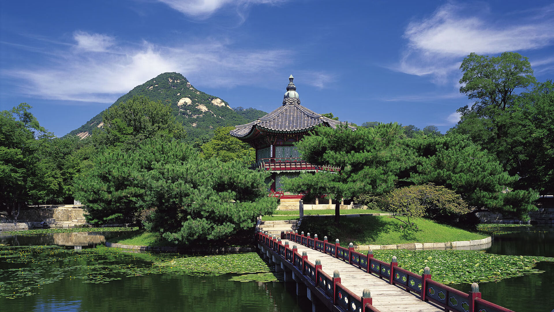 奥康纳突破防线，袋鼠队进攻更具威胁，奥康和袋鼠哪个牌子好