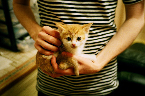 女子篮球组织教练团队海外研修促进知识交流,女子篮球主教练