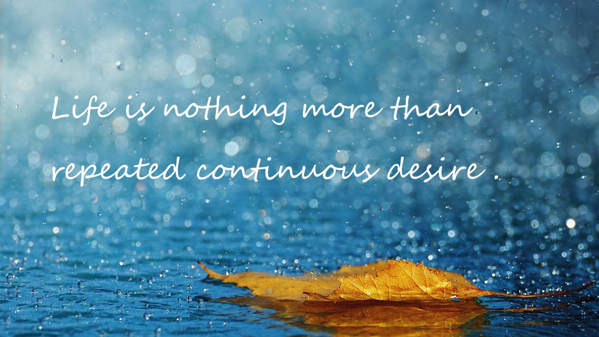 库里参加脱口秀现场气氛爆棚,库里节目