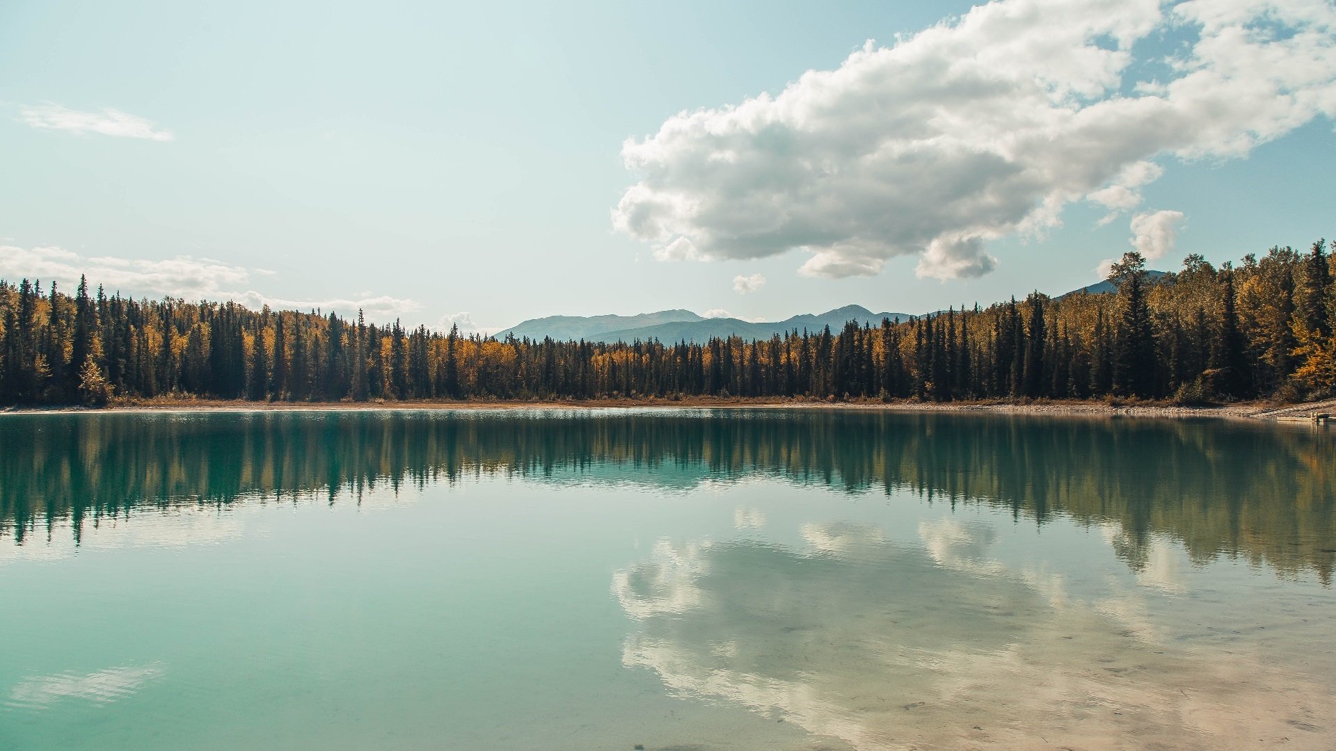 欧洲杯绝妙瞬间:战术配合与精彩射门层出不穷,欧洲杯 respect