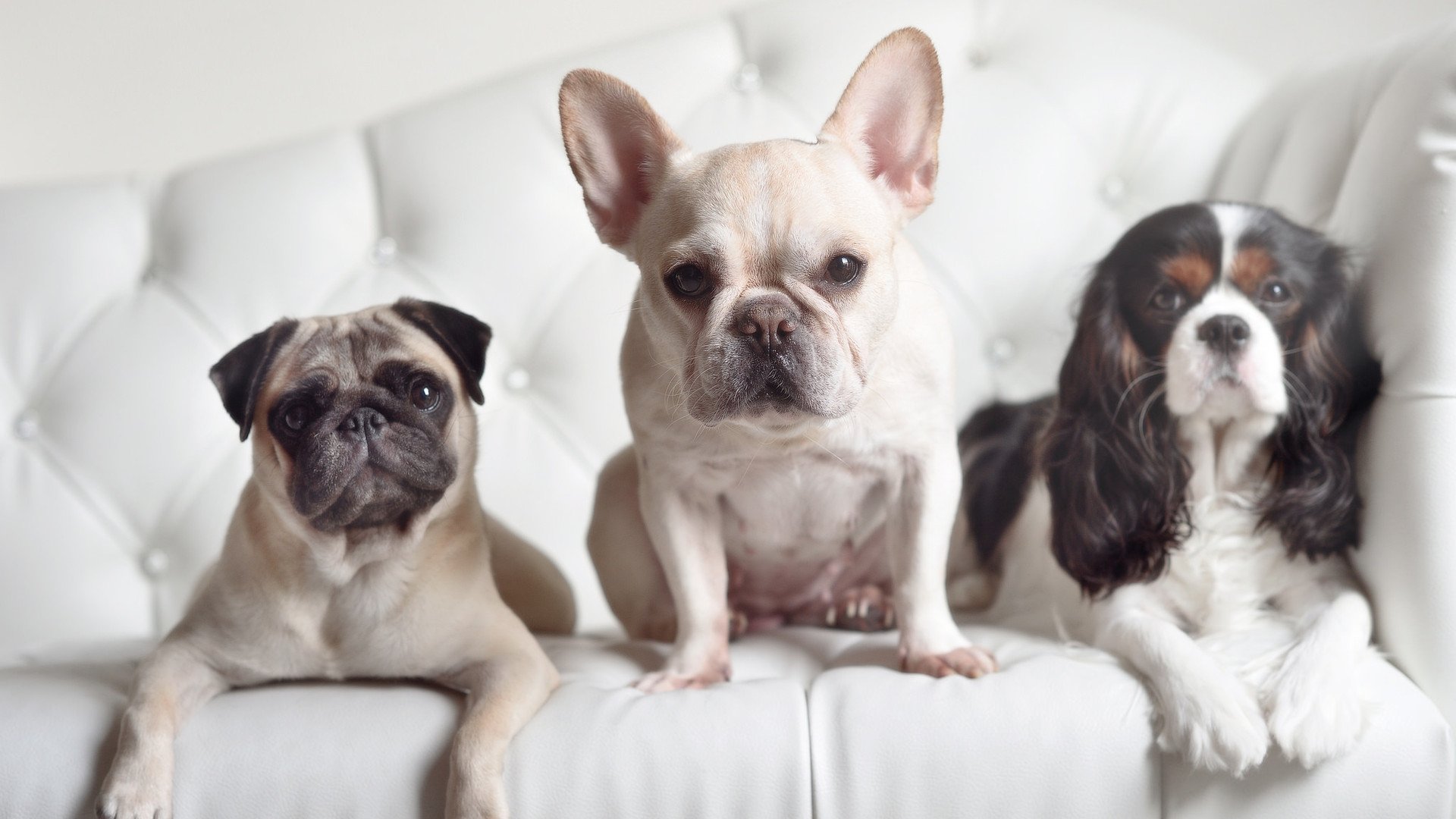 热火球员组织全队聚餐提升更衣室氛围,热火队出场服