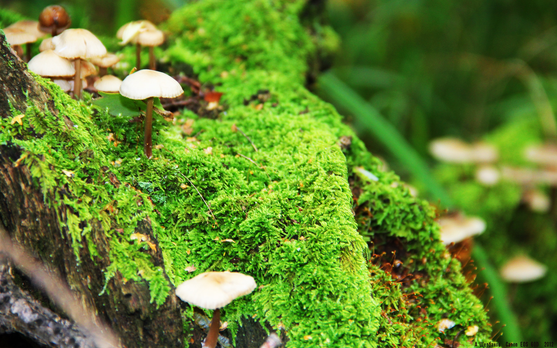 老鹰替补席贡献大幅提升成为关键支撑,老鹰队的比赛