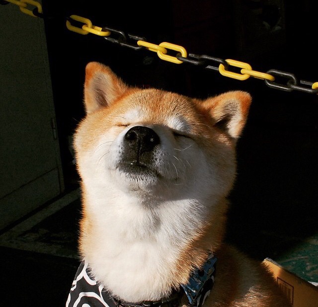 华体会登陆-中国足球青少年足球推广活动成效显著，青少年足球宣传语